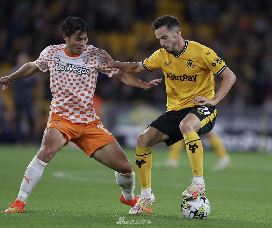 我们坚持我 我们坚持我